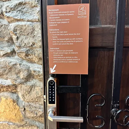 Tsar Kaloyan Near Tsarevets